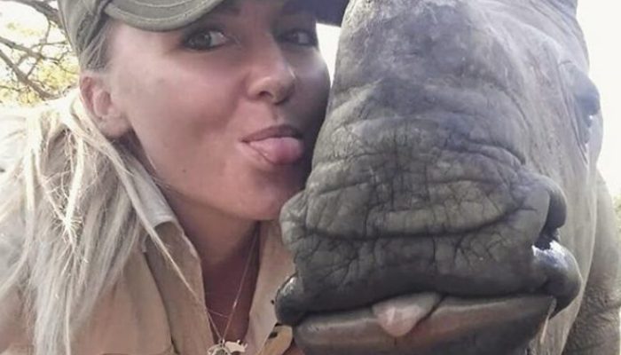 After the tragic loss of his mother, a baby rhino found refuge with a kind veterinary nurse