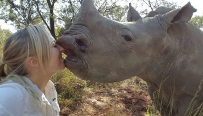 After the tragic loss of his mother, a baby rhino found refuge with a kind veterinary nurse