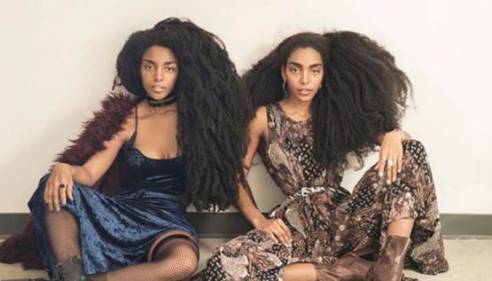 The identical twins who became overnight sensations because to their matching hairstyles