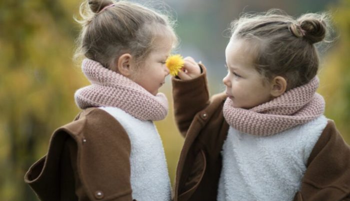 10 faits intéressants sur les jumeaux. C'est vraiment formidable d'en savoir mieux
