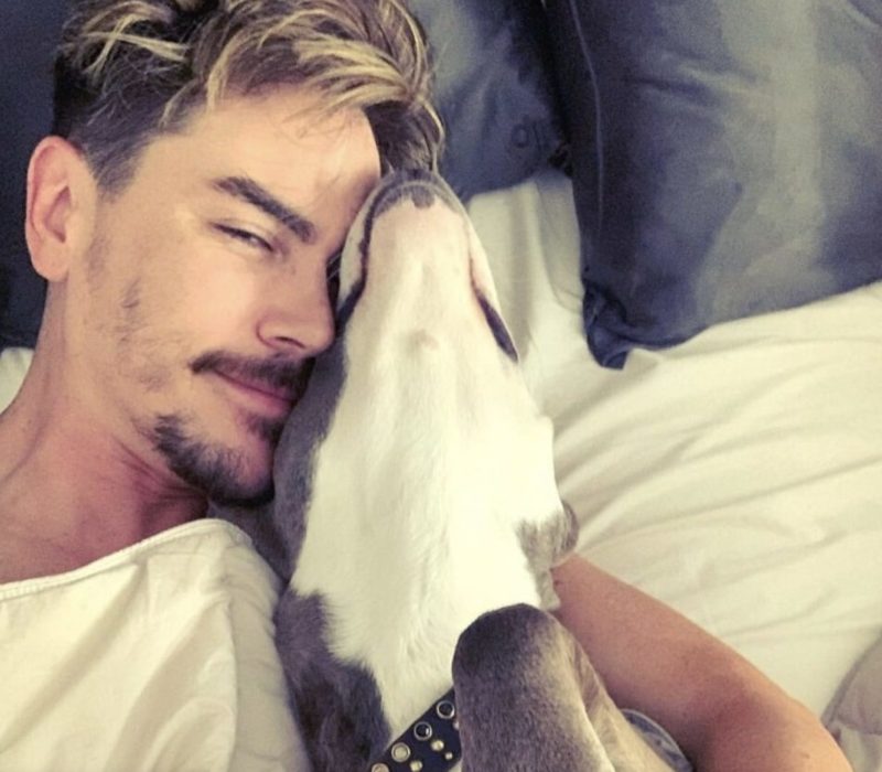 Après avoir adopté un chien avec son ex-petit ami Tom Sandoval, Ariana Madix refuse de renoncer à la garde de l'animal