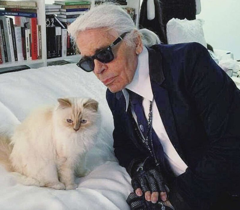 Découvrez l'univers fascinant de Choupette, la chatte adorée de Karl Lagerfeld. C'est le chat le plus choyé