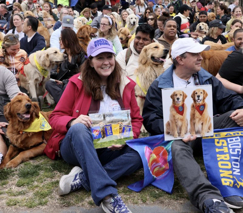 Sur la ligne d'arrivée du marathon de Boston, des Golden Retrievers se rassemblent pour rendre hommage à un fan de courses canines