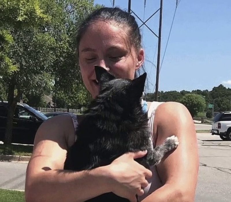 Cette femme a donné au Chihuahua senior, Shorty, une seconde chance dans la vie malgré son âge et son poids