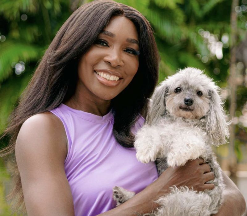 Venus Williams est incontestablement un parent chien exceptionnel. C'est vraiment très touchant