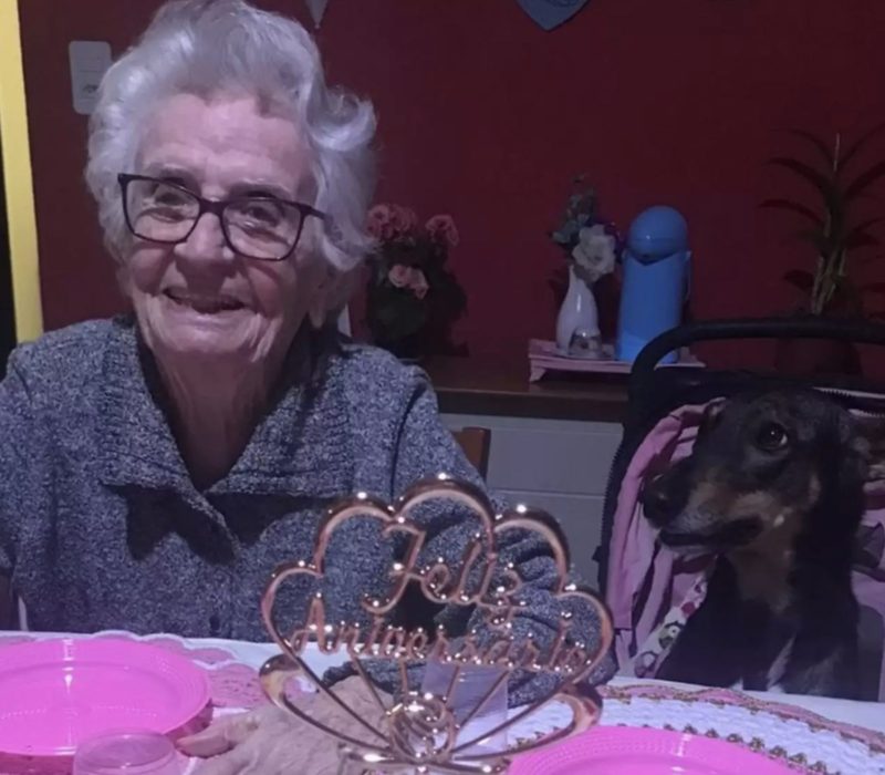 La fête d'anniversaire la plus grandiose et la plus chaleureuse de tous les temps comprend dix chiens et une femme âgée du Brésil