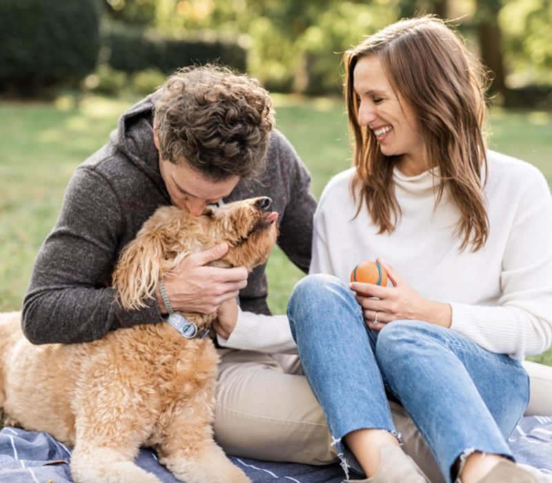Un couple de la Nouvelle-Écosse a agrandi sa famille de manière inattendue avec l'ajout d'un chiot vert