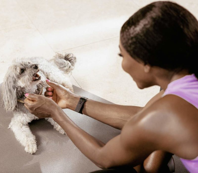 Venus Williams est incontestablement un parent chien exceptionnel. C'est vraiment très touchant