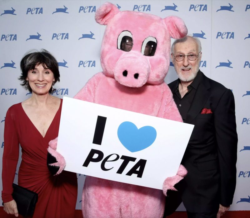James Cromwell, star du film "Babe", aide à sauver un vrai cochon qui est sorti d'un camion de boucherie