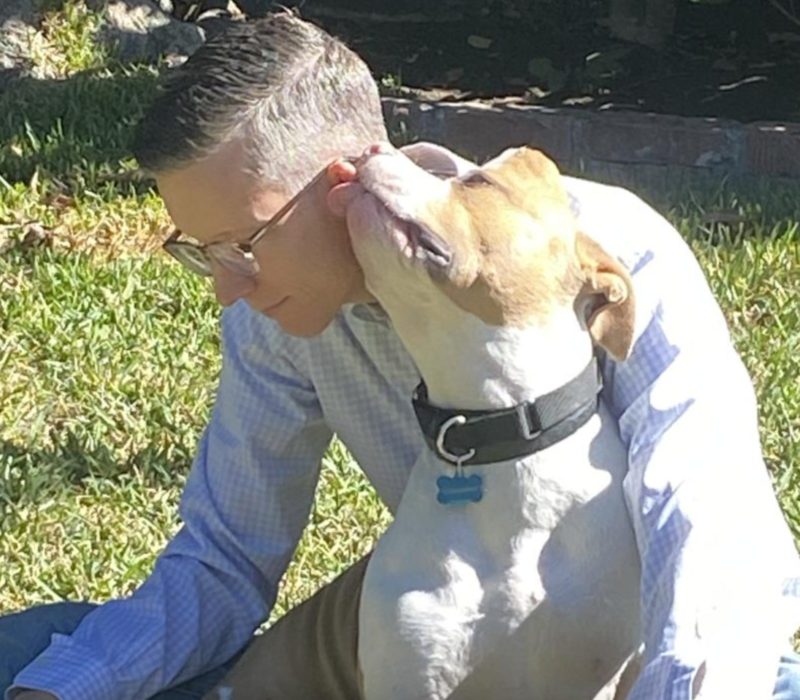 La chienne licorne a été recueillie par une famille qui l'aime malgré la corne qu'elle a sur la tête. C'est vraiment de l'amour