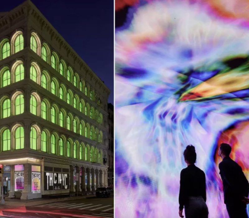 C'est officiel : la ville de New York a son premier musée permanent du cannabis, et il a un affichage trippant piloté par l'IA avec de vraies plantes