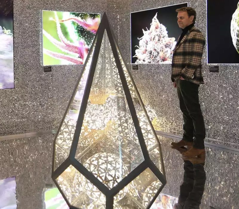 C'est officiel : la ville de New York a son premier musée permanent du cannabis, et il a un affichage trippant piloté par l'IA avec de vraies plantes