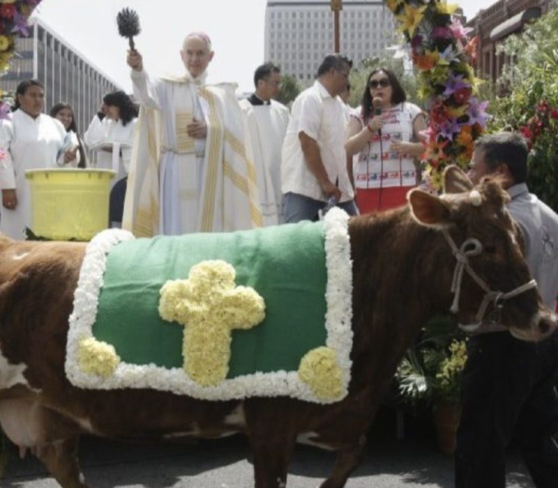 L'une des plus anciennes traditions de Los Angeles impliquant la bénédiction des animaux est un spectacle merveilleux à voir