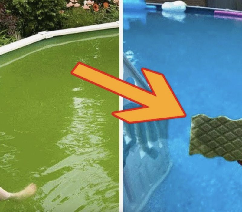 Une femme âgée de l'Ohio nettoie sa piscine trouble et sale avec une seule gomme magique à la fois