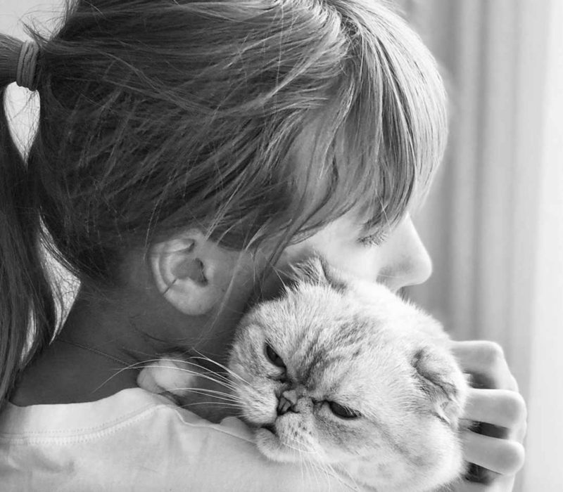 Découvrez les adorables compagnons félins de Taylor Swift: Meredith Grey, Olivia Benson et Benjamin Button. Ils sont magnifiques