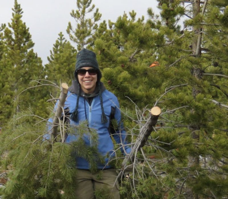 Découvrez l'histoire d'une femme qui est passée à l'action après que son ex-petit ami ait abattu un arbre qui leur était cher à tous les deux