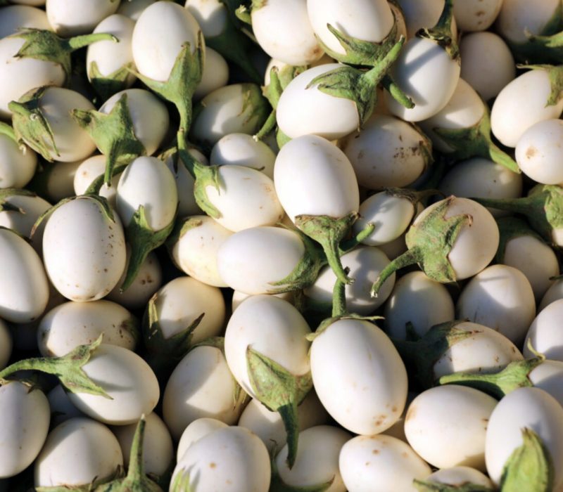 Voici l'histoire fascinante des aubergines : découvrez les origines inattendues de ce produit unique en son genre
