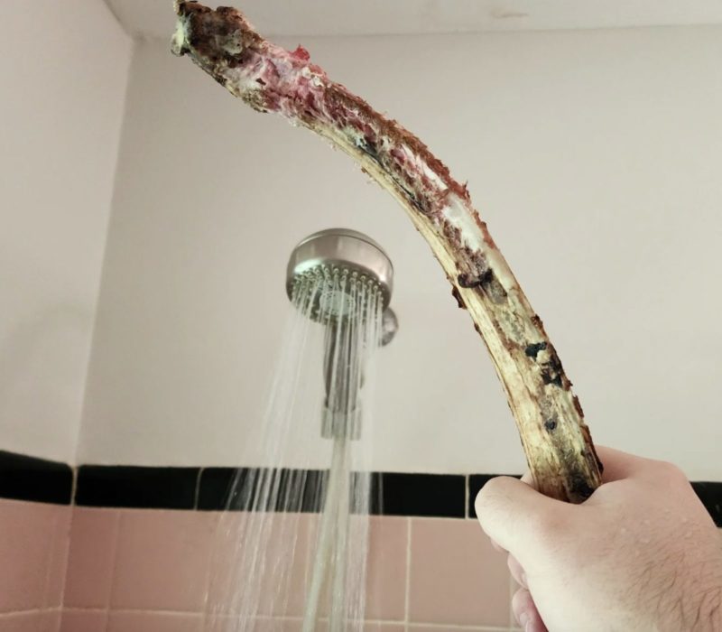 Je suis rémunéré pour consommer de la nourriture pendant que je prends une douche, et des millions de personnes me voient le faire