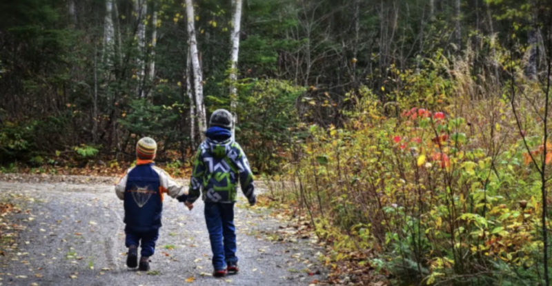 Qu'il s'agisse de se nourrir de neige ou de fabriquer intelligemment un abri avec des branches, l'ingéniosité de ce jeune aventurier de 8 ans qui est resté seul pendant 48 heures vous laisseront bouche bée