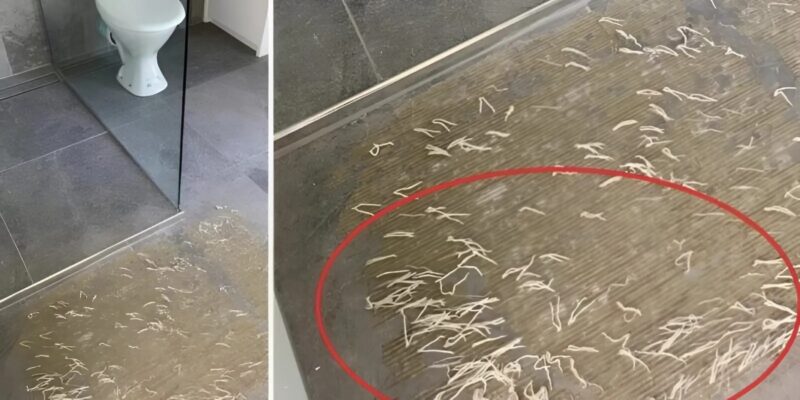 Valami furcsát találtam a fürdőszobám padlóján, és az igazság, ami rejlett a felfedezés mögött, mélyen meglepett. Amit egyszerűnek hittem, valójában különleges volt.