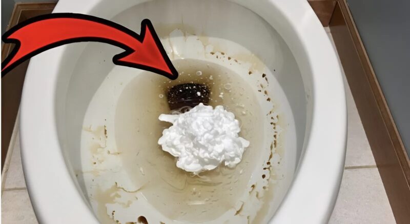 Vége a makacs szennyeződéseknek és vízkőnek mindössze két perc alatt! 😲 Egy egyszerű, de hatékony házi praktika csillogóan tisztává varázsolja a WC-t. Drága tisztítószerek helyett elég egy meglepő alapanyag!