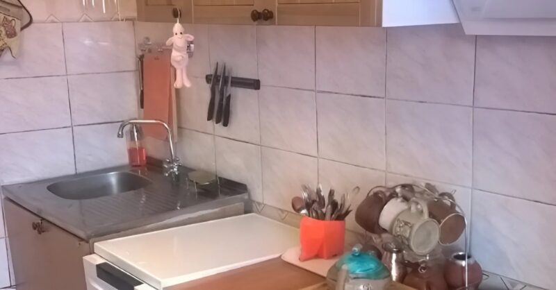 Alex és Daniel sosem gondolták volna, hogy egy egyszerű felújítási munka megváltoztatja az életüket. Ami kezdetben csak extra pénzkereseti lehetőségnek indult, az életre szóló ajándékká vált – egy otthonná és egy új családdá.