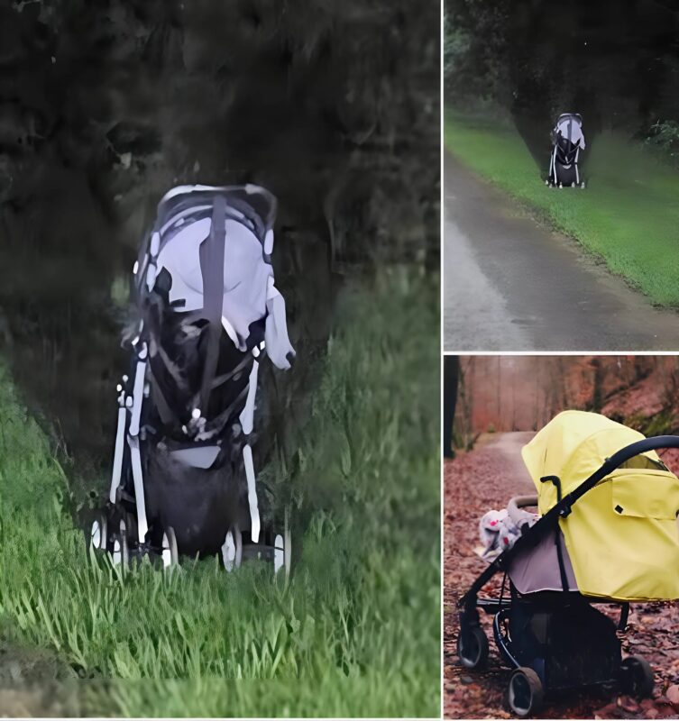 Ha éjszaka vezetve elhagyott babakocsit látsz az út szélén, ne szállj ki az autóból! Maradj bent, és azonnal értesítsd a hatóságokat. Lehet, hogy csapdába akarnak csalni.