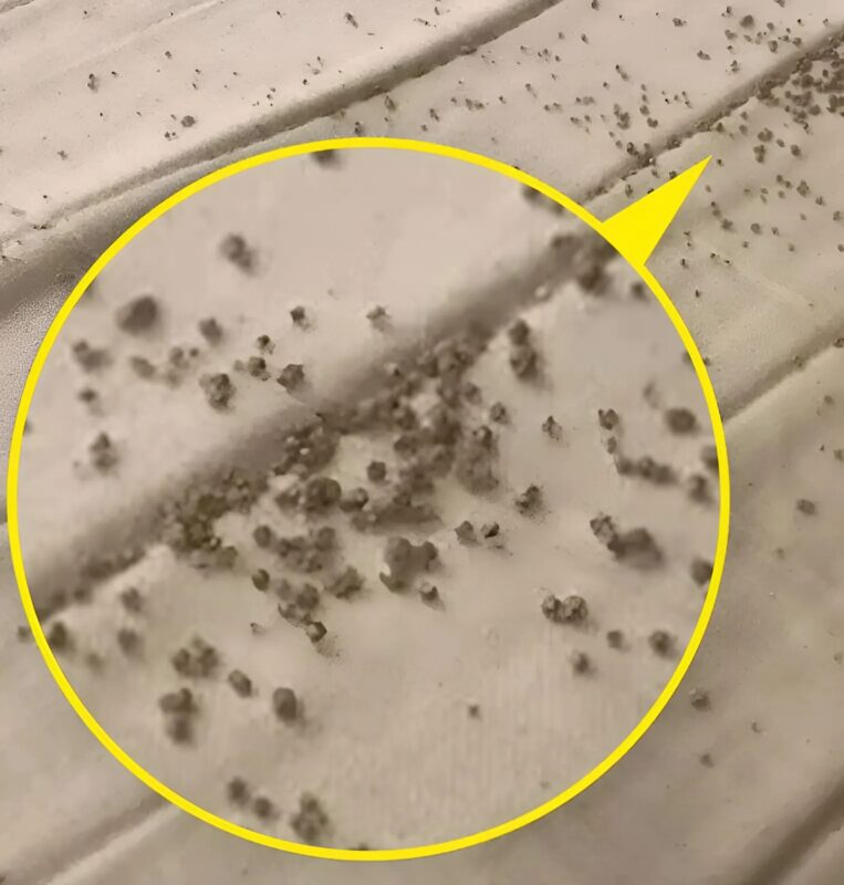 Ezeket a kis barna szemcséket a férjem párnája alatt találtam, és sokáig nem értettem, mik ezek, amíg jobban meg nem néztem.