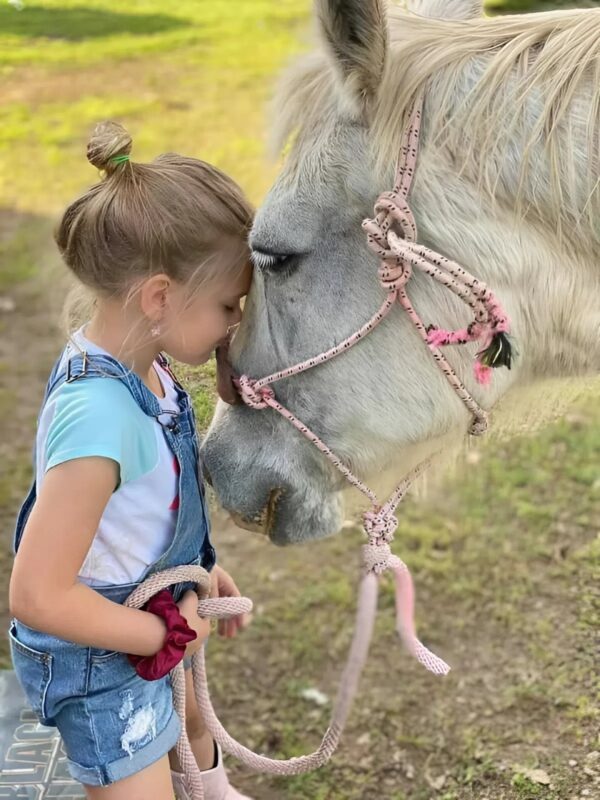 A ló senkiben sem bízott, mígnem megérkezett egy kislány, aki csendet, melegséget és új szeretetet hozott.