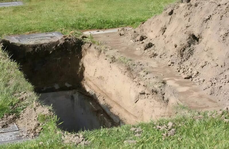 A temetés alatt egy ló bukkant elő az erdőből, és egyenesen a koporsó felé rohant. A jelenlévők megdöbbentek, amikor megtudták, miért teszi ezt az állat.
