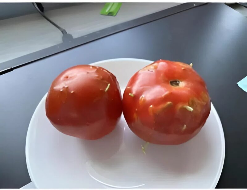 Egy különös rejtély: sérült vagy sem, egy meglepő felfedezés a konyhámban, mi bizonyult hihetetlennek?