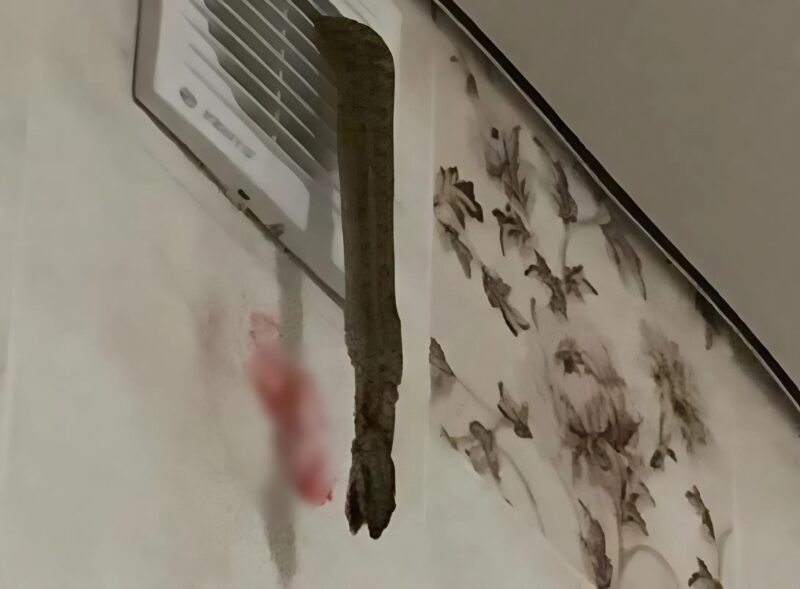 Ma reggel valami lógott a szellőzőnyílásomból, odamentem megnézni, mi az, és rémülten megdermedtem.