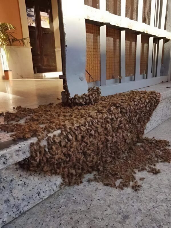 Ha ilyen jelenetet lát, maradjon nyugodt, és ne hívja a tűzoltókat, de megérteni, mi történik, nagyon nehéz.