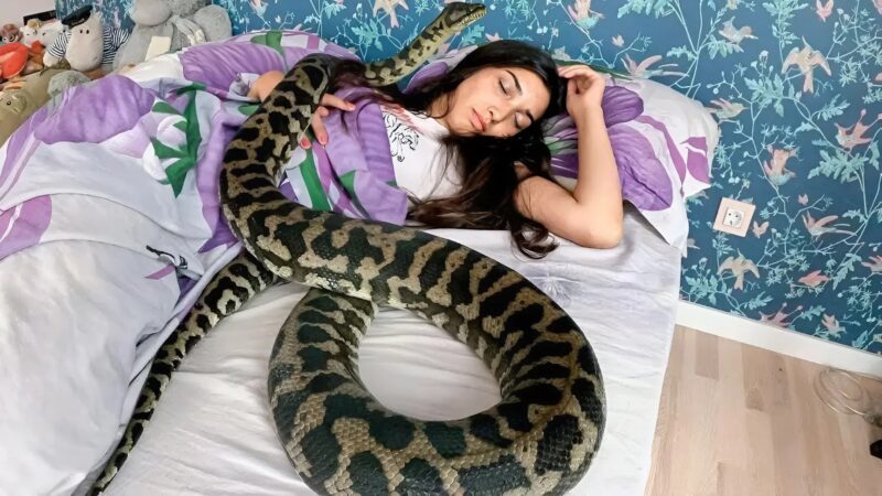 A nő minden éjjel a pitonájával aludt, de amit az állatorvos felfedezett, szóhoz sem jutott.