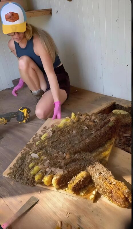 A padló alól hallatszó furcsa zajok meglepő és váratlan felfedezésre vezettek.