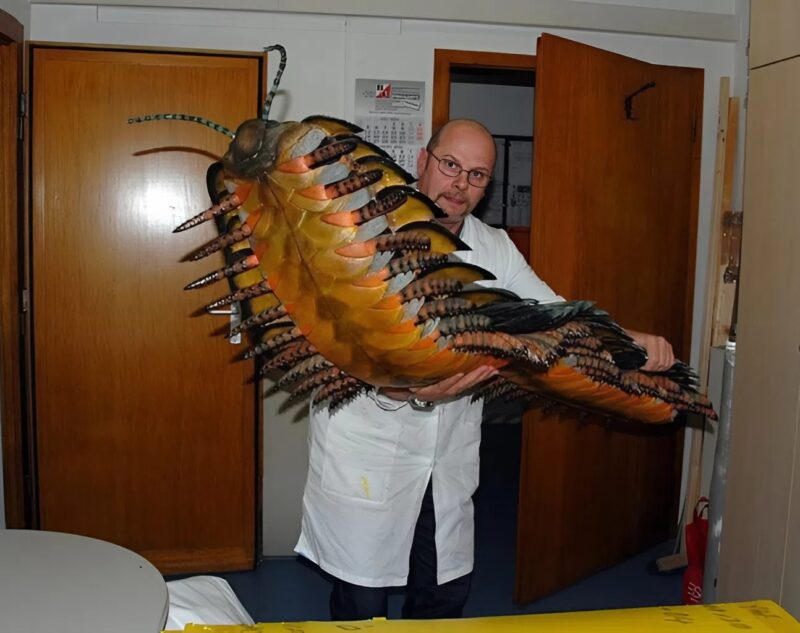 Az Arthropleura, egy akár 2,7 méter hosszúra is megnőhetett élőlény, a valaha ismert legnagyobb ízeltlábú volt, értéke pedig minden képzeletet felülmúl.