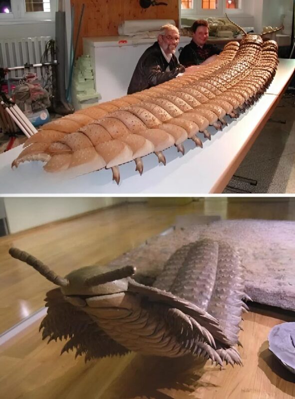 Az Arthropleura, egy akár 2,7 méter hosszúra is megnőhetett élőlény, a valaha ismert legnagyobb ízeltlábú volt, értéke pedig minden képzeletet felülmúl.