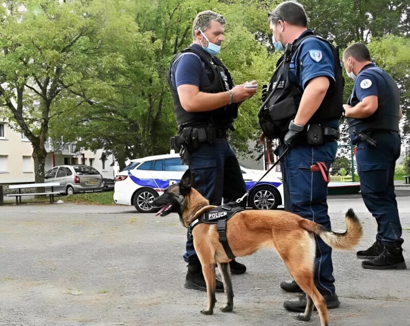 A kislány sírt és azt suttogta: „Azt mondta, nem fog bántani.” Miután kórházba szállították, egy rendőrkutya felfedte a szörnyű igazságot.