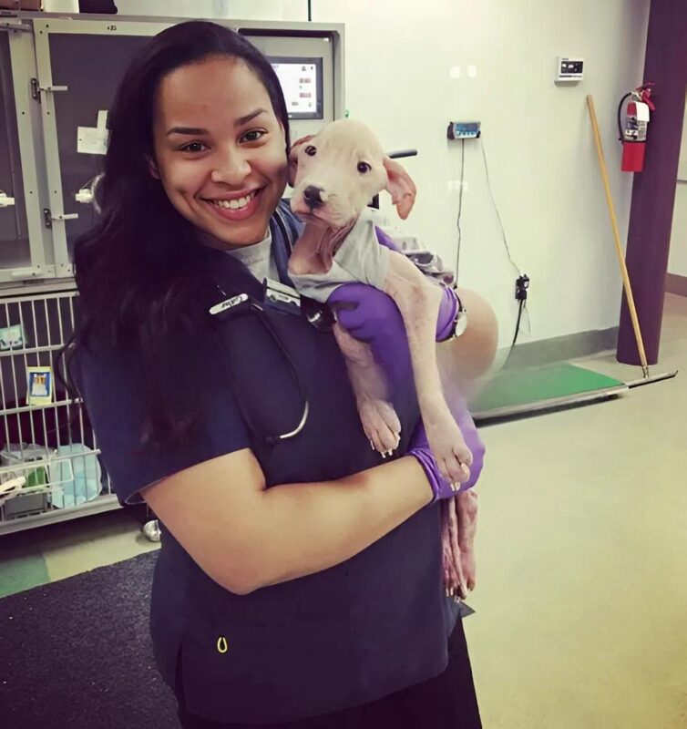 A 4 hónapos pitbull, Chase és testvérei megmentése és kezelése. Így néz ki, és mi történt vele.