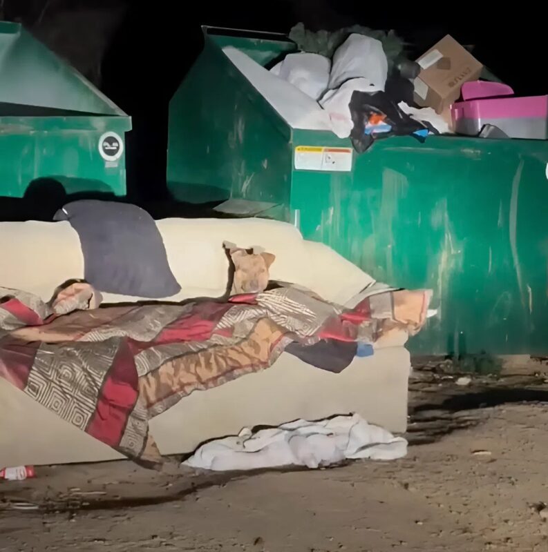 A kukában a kanapén összegömbölyödve fekvő kicsi éppen a farkát csóválta, amikor valaki végre észrevette, de nem volt világos, hogy milyen állatról van szó.