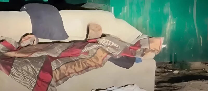 A kukában a kanapén összegömbölyödve fekvő kicsi éppen a farkát csóválta, amikor valaki végre észrevette, de nem volt világos, hogy milyen állatról van szó.