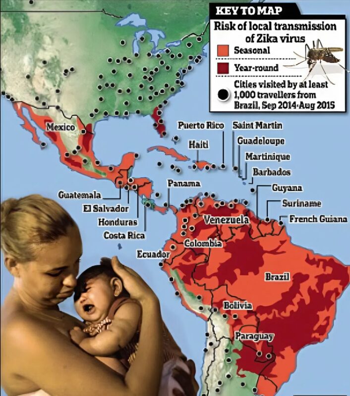 Senki sincs biztonságban a Zika-vírustól: megerősítés, hogy a szúnyogok által terjesztett vírus a meg nem született csecsemők fejét zsugorítja... és egy vészjósló figyelmeztetés.