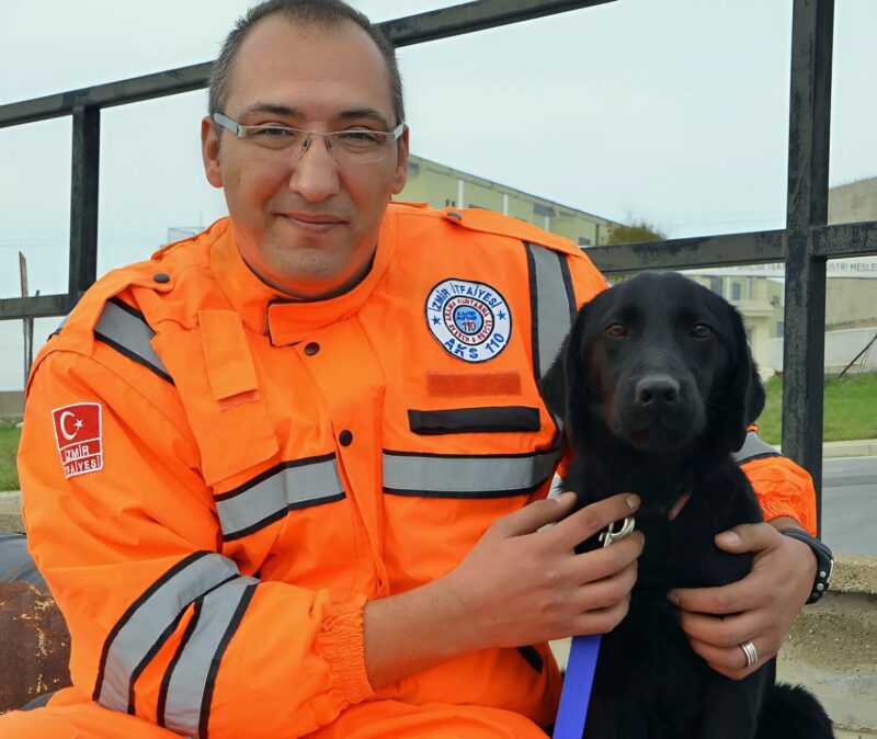 A mentők az Élet Cápáit használják, hogy megmentsenek egy konténerek közé zárt kisgyermeket, majd kiderítsék, milyen állatról van szó.