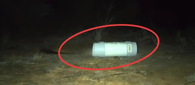 Egy kamera ritka fotót készített egy apró állatról, amelyet egykor kihaltnak hittek.