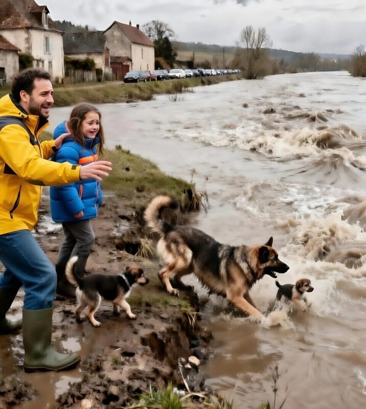A folyóparton találtuk meg... a kicsiket tartotta a karjában, mintha érezné, hogy elveszíti őket. Ami ezután történt, az egyszerűen leírhatatlan volt.