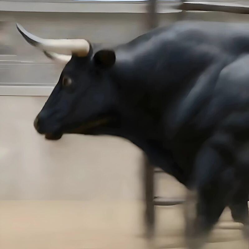 Az egész város egy régi tanyán gyűlt össze, hogy megnézze, ahogy egy brutális maffiafőnök leckét ad egy fiatal nőnek, aki zaklatta őt, azzal, hogy egy bikával ketrecben hagyja. De ami ezután történt, az egész várost sokkolta.