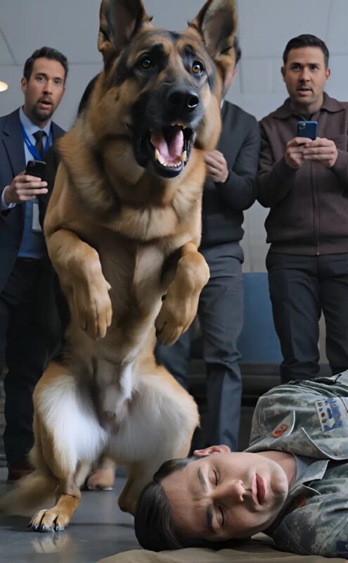 A repülőtéren az emberek észrevettek egy egyenruhás férfit, aki a földön feküdt, mellette pedig egy német juhászkutya ült.