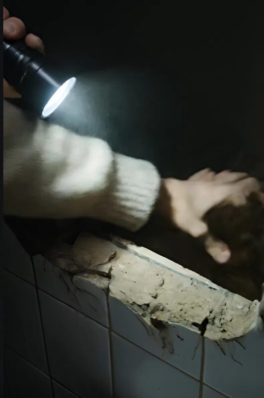Amíg a férjem távol volt, az apósom azt mondta, hogy fogjak egy kalapácsot, és törjem be a csempét a vécé mögött. A csempék mögött egy lyukat láttam, és valami szörnyűség rejtőzött abban a lyukban.