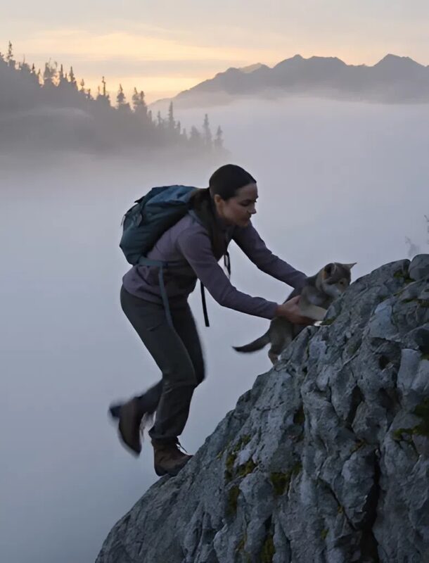 Clara és a farkaskölyök hegyi felfedezése felfed egy régi családi titkot, amely a Sierra Nevada ködös erdejében rejtőzik.